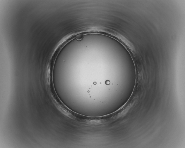 X0000116651126200912141250