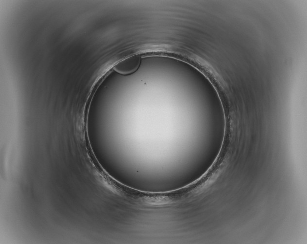 X0000116651129200912141250