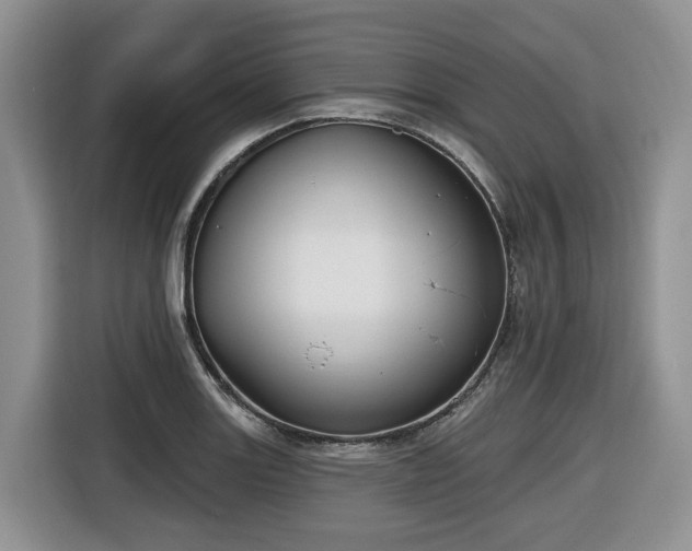 X0000116651131200912141250
