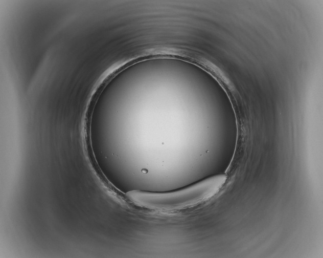 X0000116651133200912141250