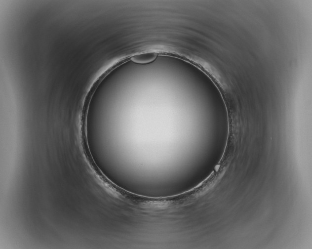 X0000116651134200912141250