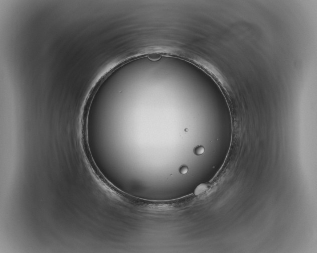 X0000116651135200912141250