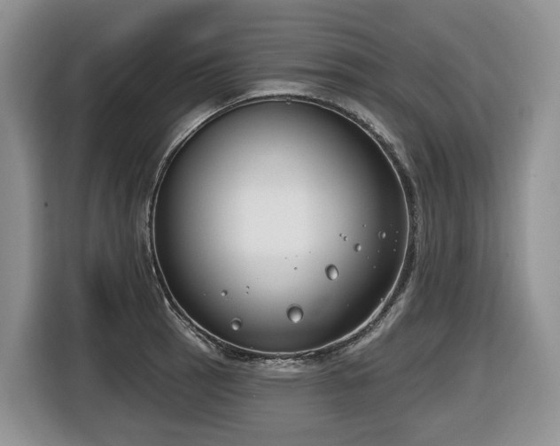 X0000116651137200912141250