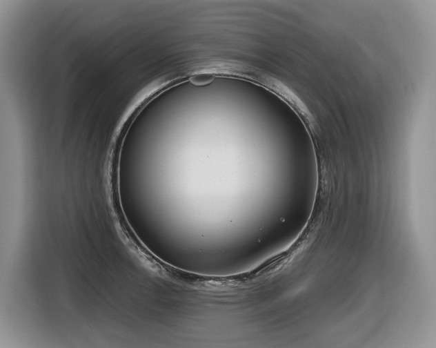 X0000116651138200912141250
