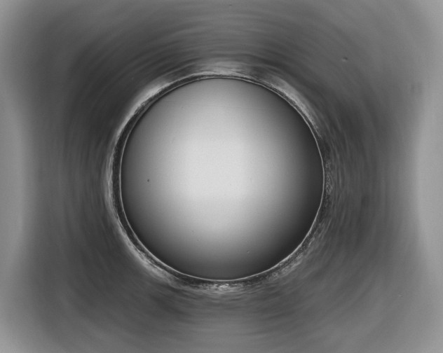 X0000116651139200912141250