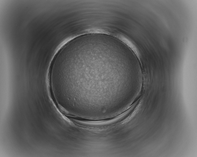 X0000116651141200912141250