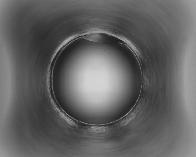 X0000116651142200912141250