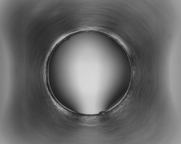 X0000116651143200912141250