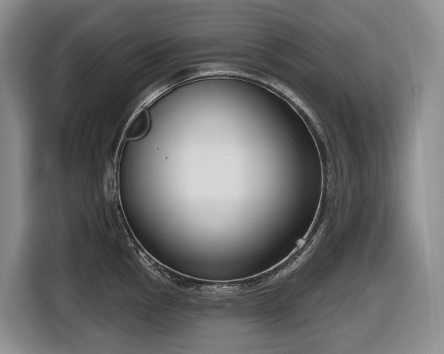 X0000116651145200912141250