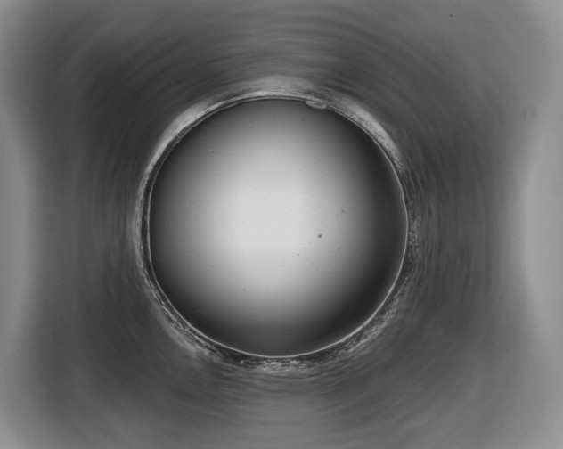 X0000116651146200912141250