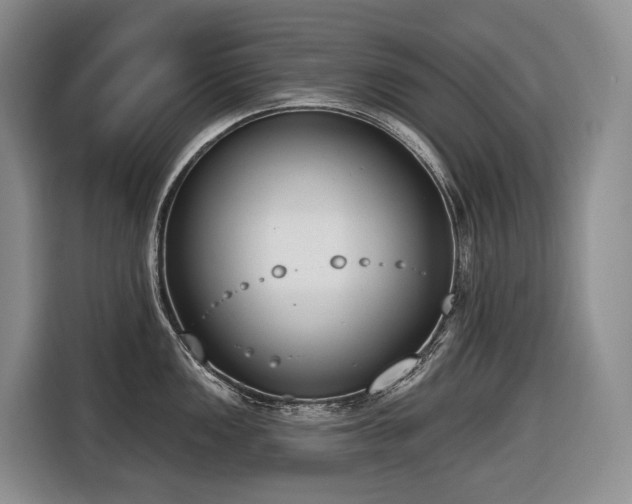 X0000116651149200912141250