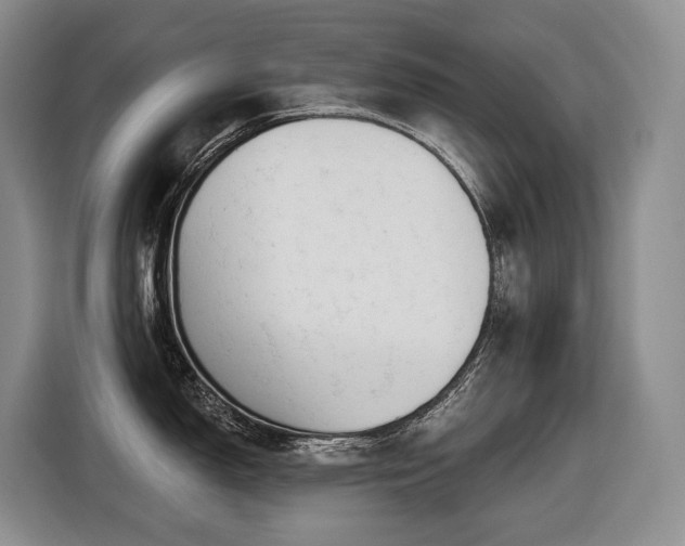 X0000116651150200912141250