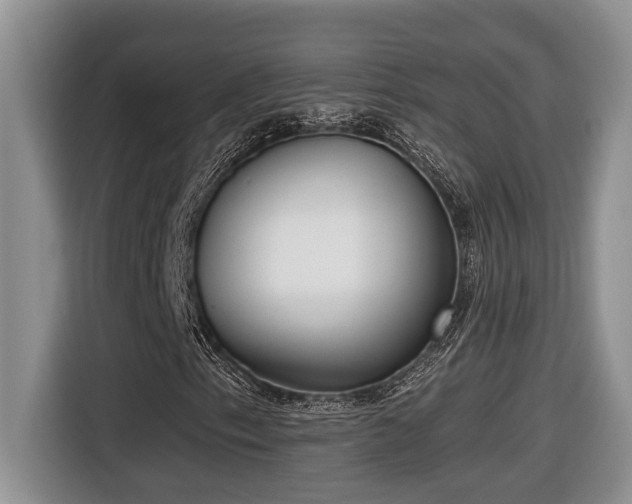 X0000116651153200912141250