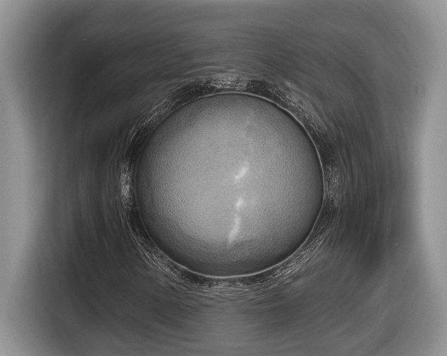 X0000116651154200912141250