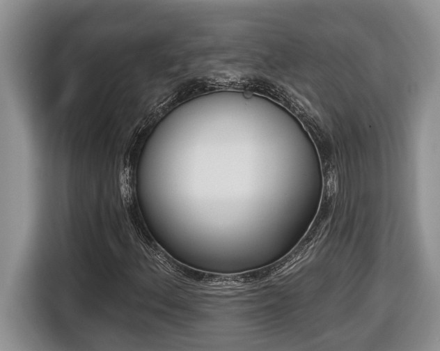 X0000116651156200912141250