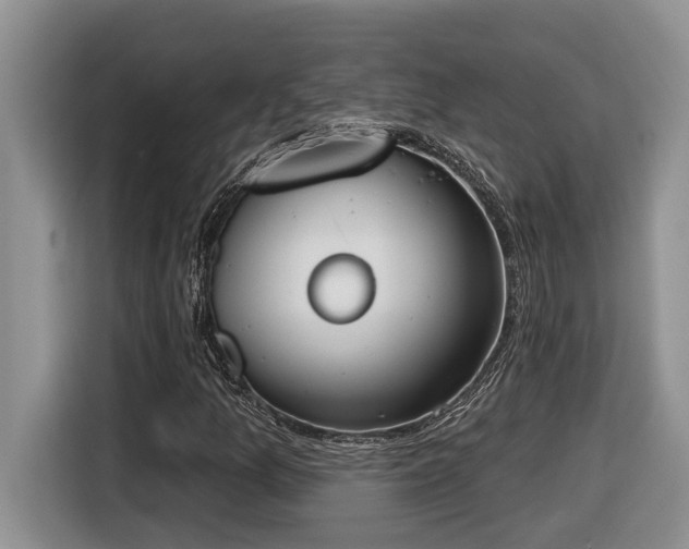 X0000116651157200912141250