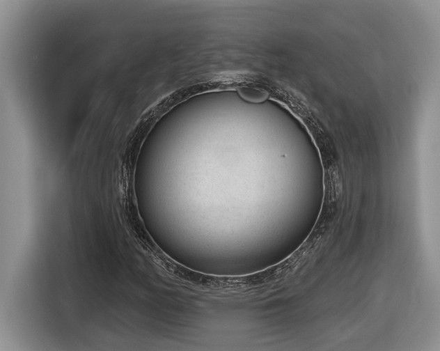 X0000116651158200912141250