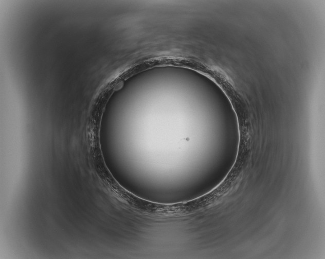 X0000116651159200912141249