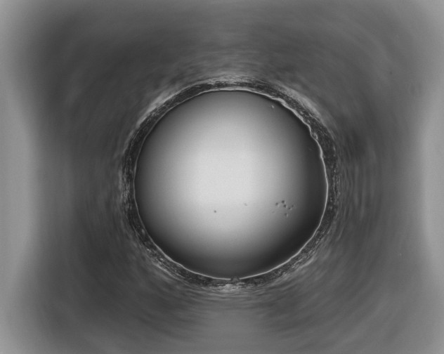 X0000116651160200912141249