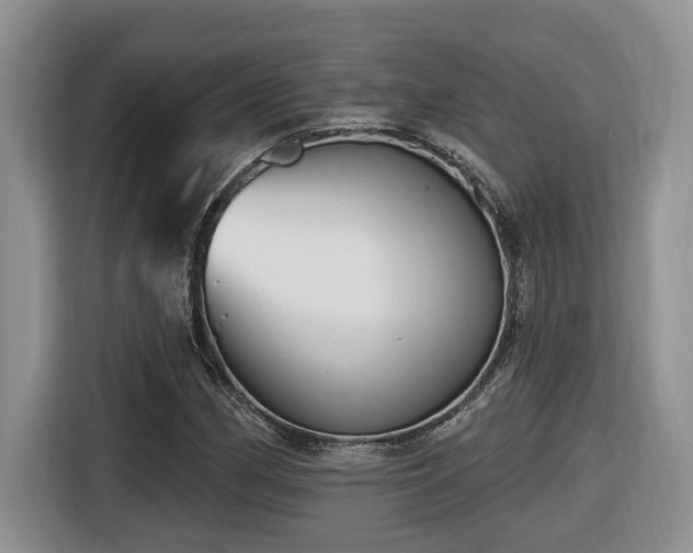 X0000116651162200912141249