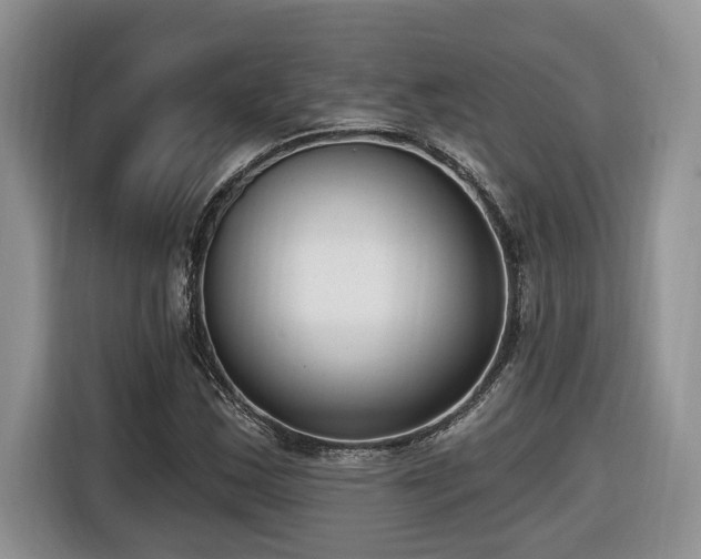 X0000116651163200912141249
