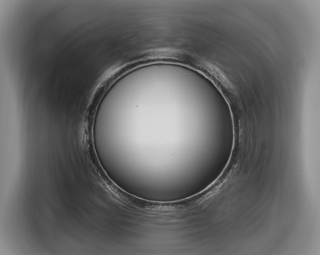 X0000116651164200912141249
