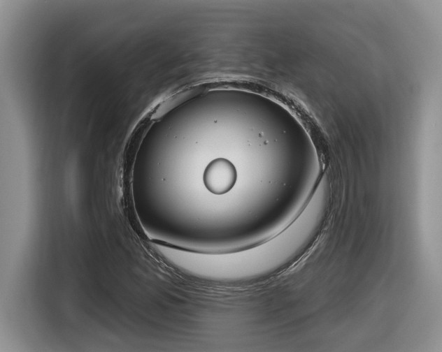 X0000116651165200912141249