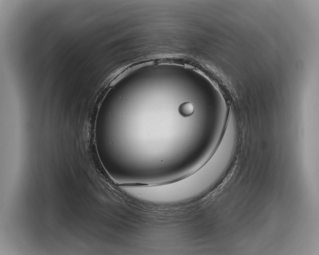 X0000116651169200912141249