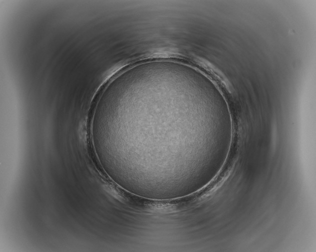 X0000116651170200912141249