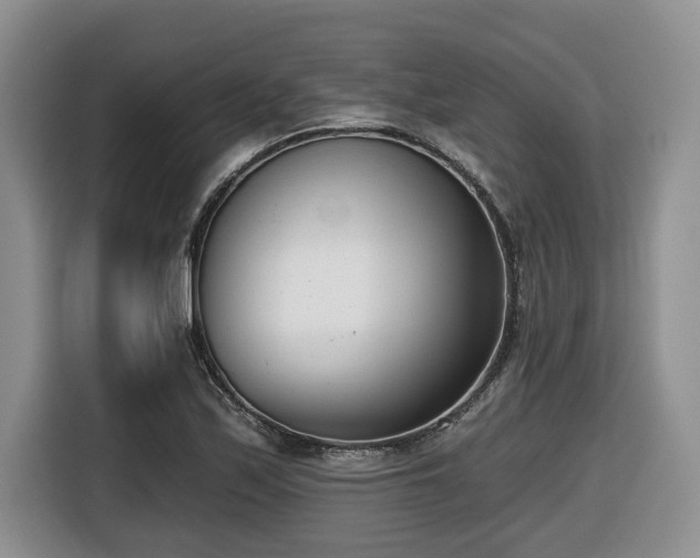 X0000116651171200912141249