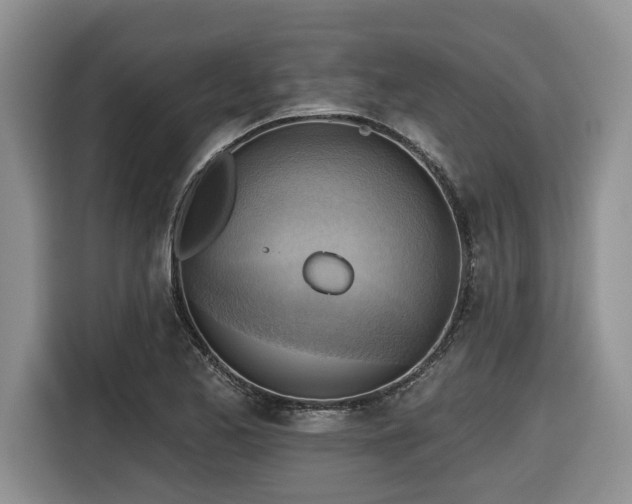 X0000116651173200912141249