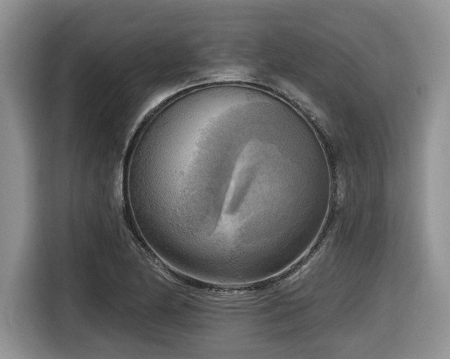 X0000116651174200912141249