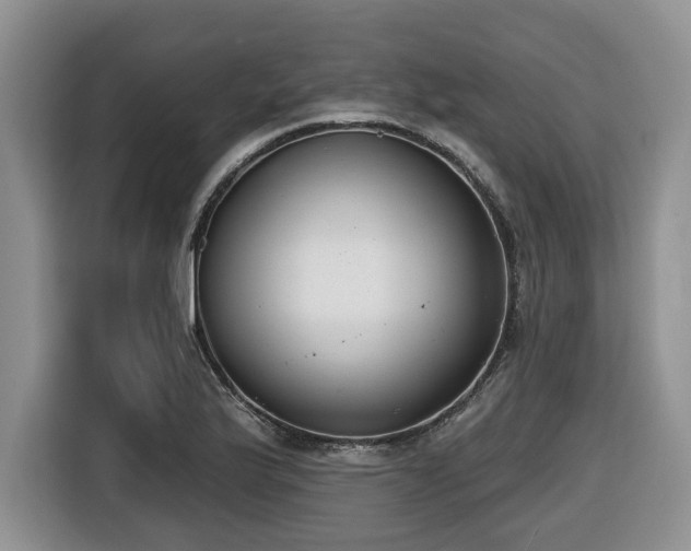 X0000116651175200912141249