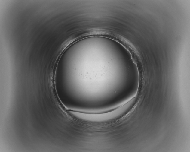 X0000116651177200912141249
