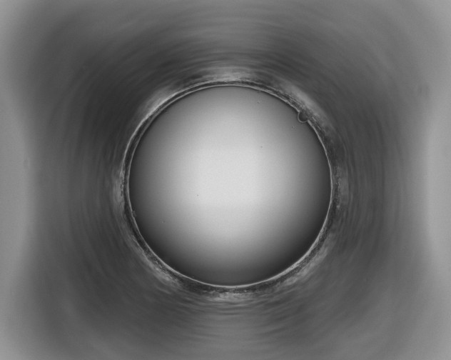 X0000116651178200912141249