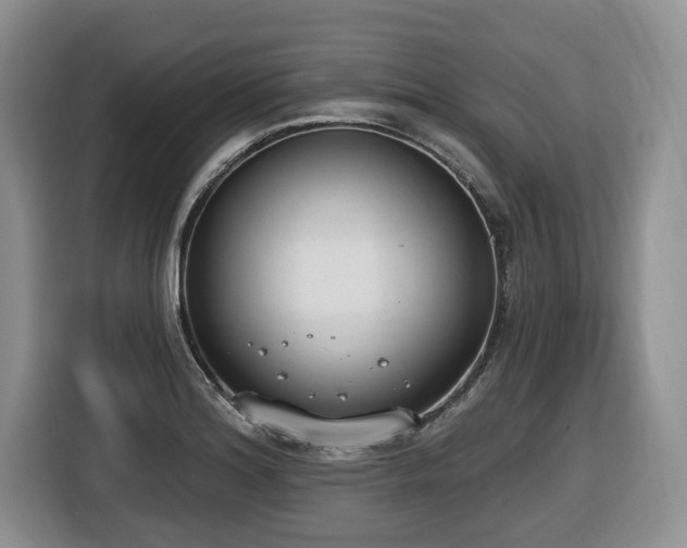 X0000116651180200912141249