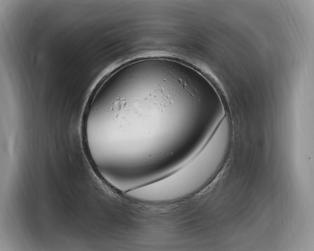 X0000116651181200912141249