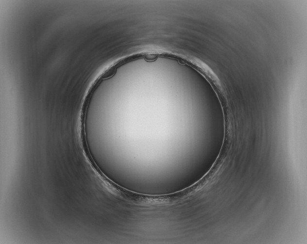 X0000116651183200912141249
