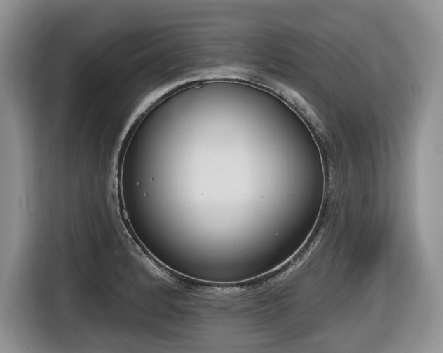 X0000116651184200912141249