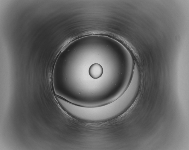 X0000116651185200912141249