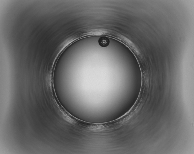 X0000116651186200912141249