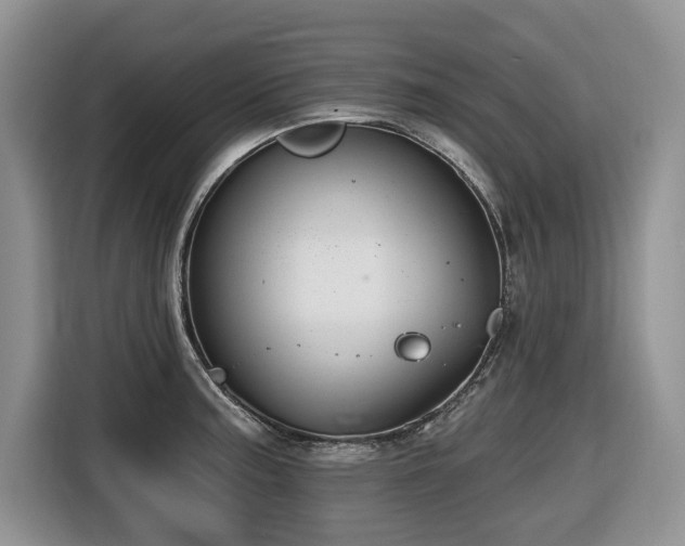 X0000116651187200912141249