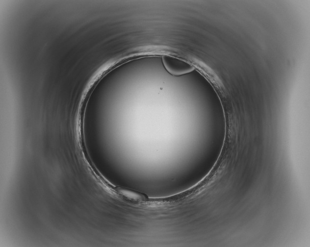 X0000116651188200912141249