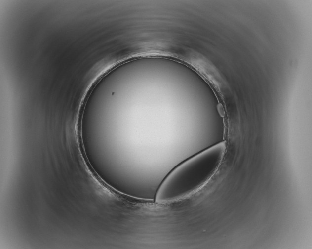 X0000116651189200912141249