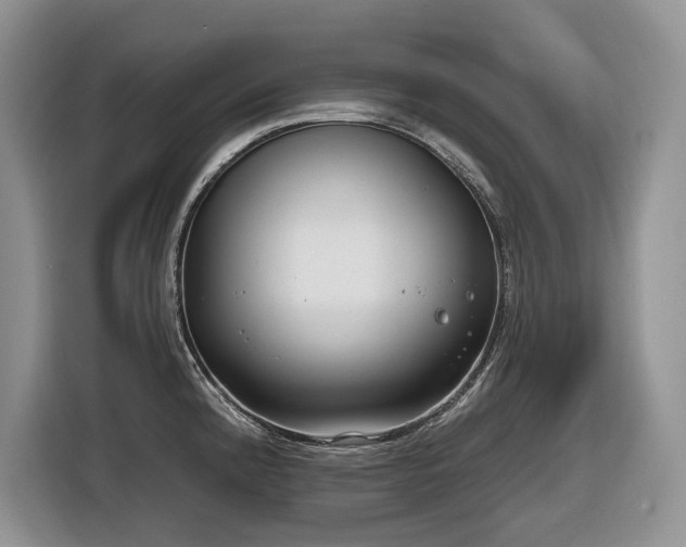 X0000116651192200912141249