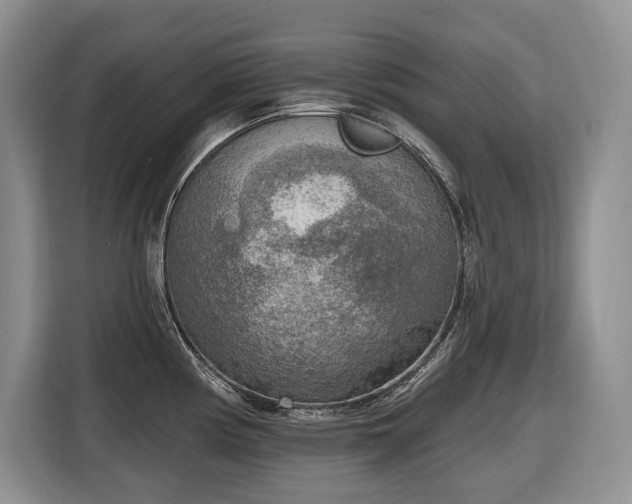 X0000116651194200912141249