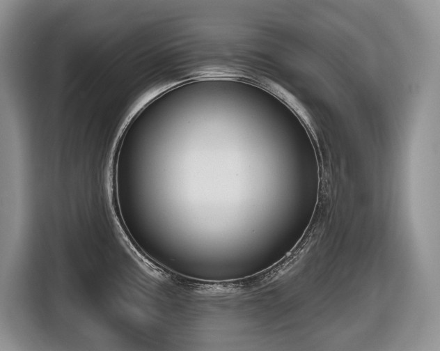 X0000116651195200912141249