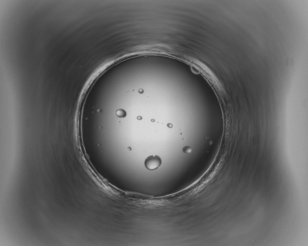 X0000116651196200912141249