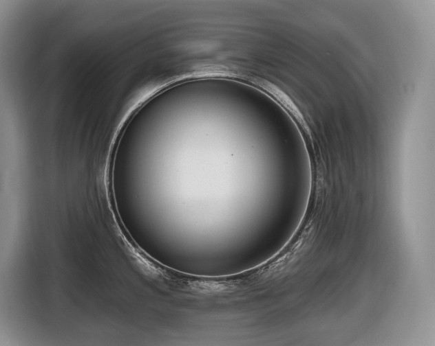 X0000116651197200912141249