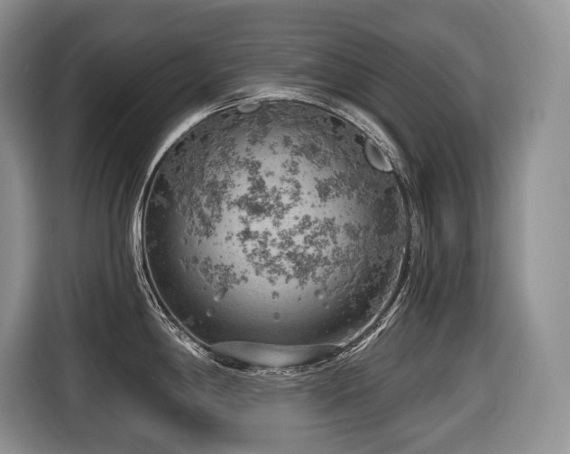 X0000116651198200912141249